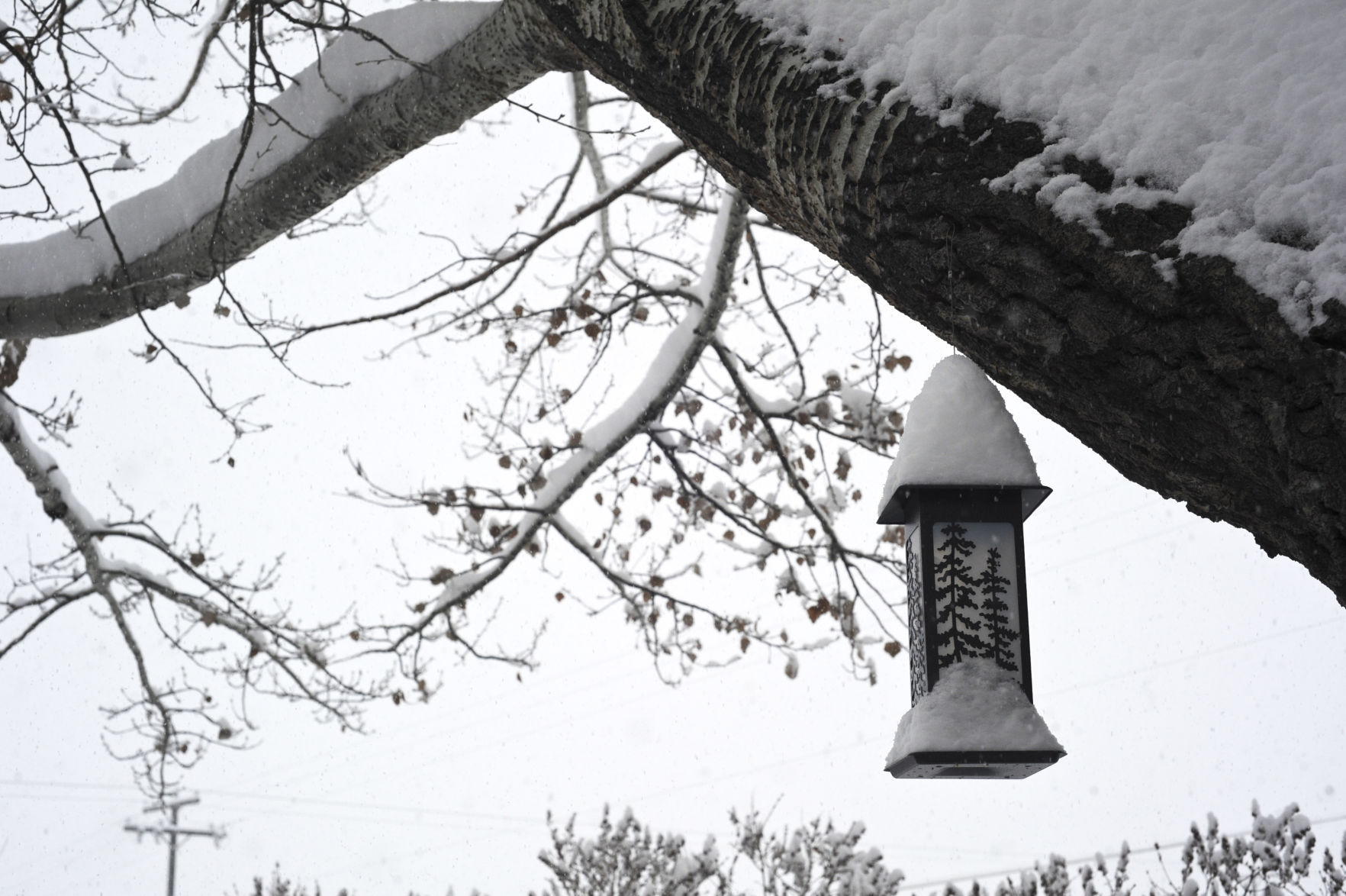 Overnight storm blankets Helena in snow